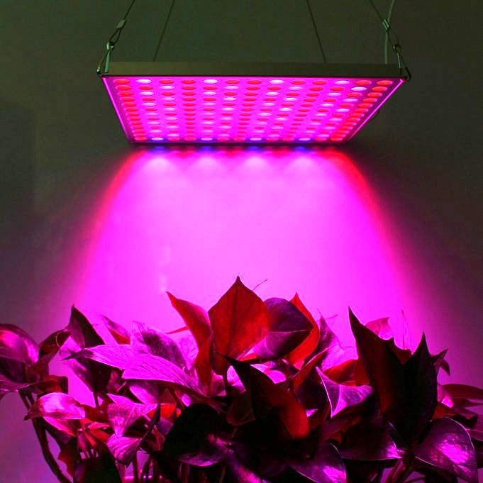 11 Migliori Luci Progressive A LED A Spettro Completo Da Considerare